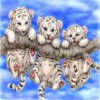 Tiger Cubs